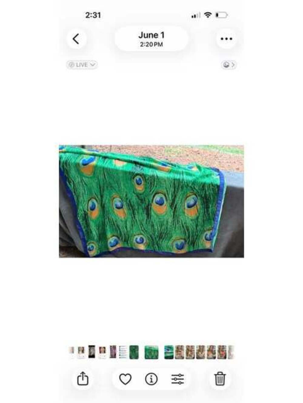 Long Peacock scarf New! $10. 70" x 30" will ship